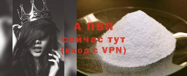 гидра Покров