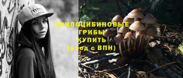 первитин Покровск