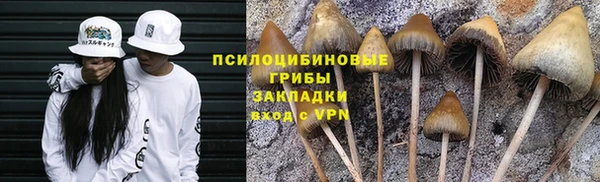 гидра Покров