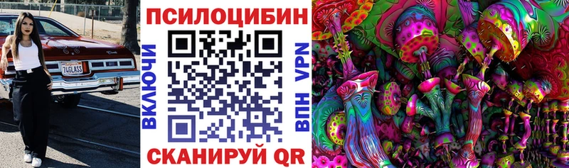 закладки  Иркутск  Псилоцибиновые грибы прущие грибы 